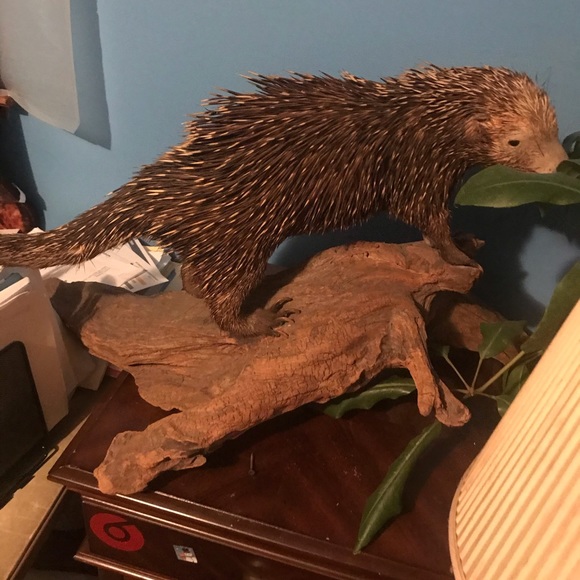 Rare items, garage sale 1/11/2020 - Picture 4 of 6